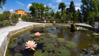 L'Orto botanico di Padova, paradiso tra scienza e natura L'Orto botanico di Padova, paradiso tra scienza e natura